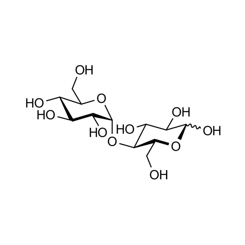 Maltose DP2 grafted on polyacrylamide (PAA) with stearic chain