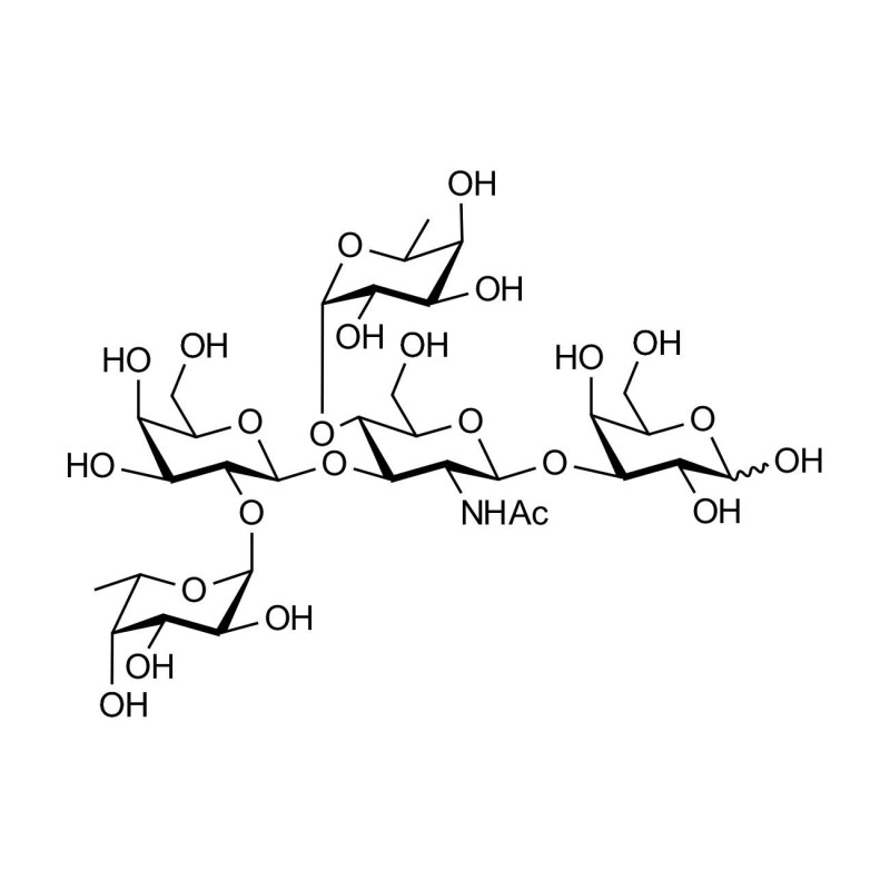 Lewis b (Leb) pentaose grafted on polyacrylamide (PAA) with stearic chain
