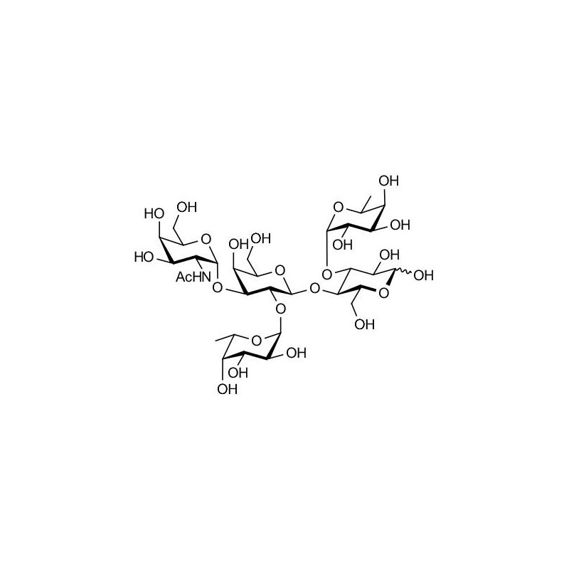 Blood group A pentaose grafted on polyacrylamide (PAA) with stearic chain