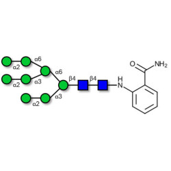 Man8D2D3 2AB-Labelled
