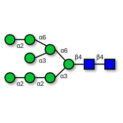 Man8D1D3 (>90% HPLC)