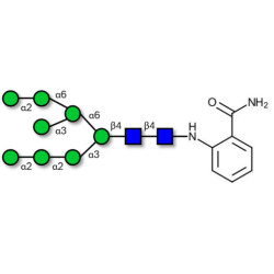 Man8D1D3 2AB-Labelled