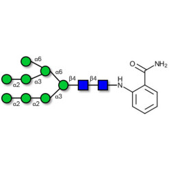 Man8D1D2 2AB-Labelled