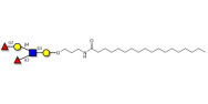 Xeno antigen type 1 (>85% NMR)