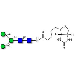 Man3 linked to biotin (Linker-BT F)