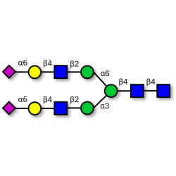 2,6-sialylated complex-type N-glycan (>90% HPLC)