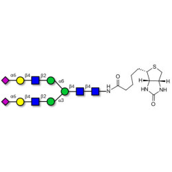 2,6-sialylated complex-type N-glycan linked to biotin (Linker-BT F)