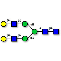 Asialo complex-type N-glycan (>90% HPLC)