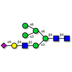 2,6-sialylated hybrid-type N-glycan (>90% HPLC)