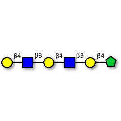 Para-Lacto-N-neohexaose (Para-LNnH) fructose isomer (>90% NMR)