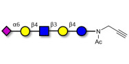 LS-Tetrasaccharide c (LSTc)...