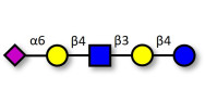 LS-Tetrasaccharide c (LSTc)...