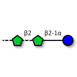 Fructo-oligosaccharides mixture from Jerusalem artichoke (Cut-off<10kDa)