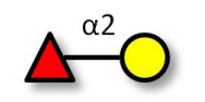 Blood group H antigen...