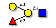 Blood group B antigen...