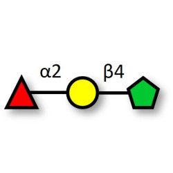 2’-FucosylLactulose (>90% NMR)