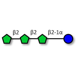 Nystose (DP4) / GF3 Analytical grade