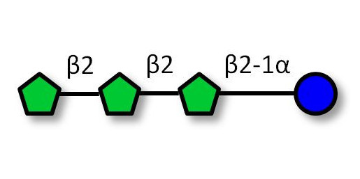Nystose (DP4) / GF3 Analytical grade - Fructotetrasaccharide ; 1,1-Kestotetraose