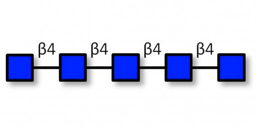 Chitinpentaose DP5 Analytical grade - Chitin oligosaccharides DP5 ; N,N',N'',N''',N''''-Pentaacetylchitopentaose ; Penta-N-acetylchitopentaose