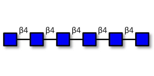 Chitinhexaose DP6 Analytical grade - Chitin oligosaccharides DP6 ; N,N',N'',N''',N'''',N'''''-Hexaacetylchitohexaose ; Hexa-N-acetylchitohexaose