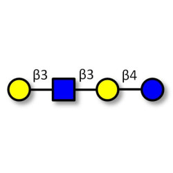 Lacto-N-tetraose (LNT) Analytical grade