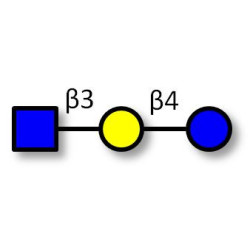 Lacto-N-Triose (LNT2) Analytical grade