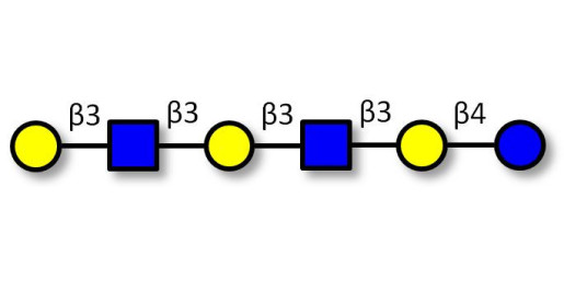 Para-Lacto-N-hexaose 2 (Para-LNH2) Analytical grade - para-Lacto-N-hexaose 2; p-LNH2