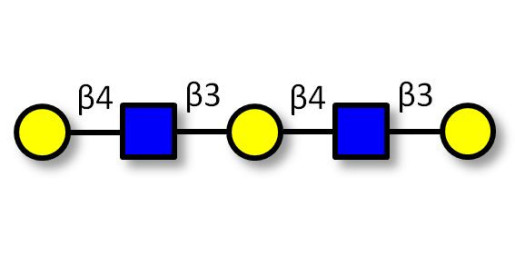Galacto-N-neopentaose Analytical grade - Di LAcNac Gal