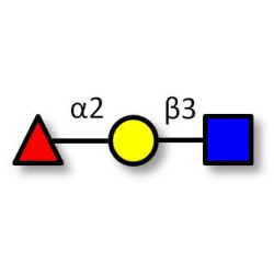 Blood group H antigen triose type 1 Analytical grade