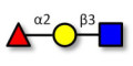 Blood group H antigen triose type 1 Analytical grade - Blood group H trisaccharide type I  ; GLY031-1-95%
