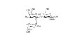 Blood group H antigen triose type 1 Analytical grade - Blood group H trisaccharide type I  ; GLY031-1-95%