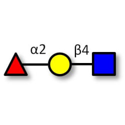 Blood group H antigen triose type 2 Analytical grade