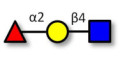 Blood group H antigen triose type 2 Analytical grade - H-Trisaccharide ; Blood group H trisaccharide type II ; 