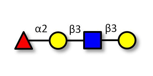 Blood group H antigen tetraose type 1 Analytical grade - Blood group H tetrasaccharide type I ; 