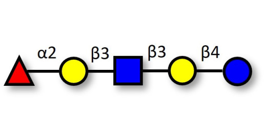 Lacto-N-fucopentaose I (LNFP I) / Blood group H antigen pentaose type 1 Analytical grade - Blood group H pentaose type I