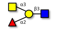 Blood group A antigen...