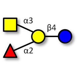 Blood group A antigen tetraose type 6 Analytical grade