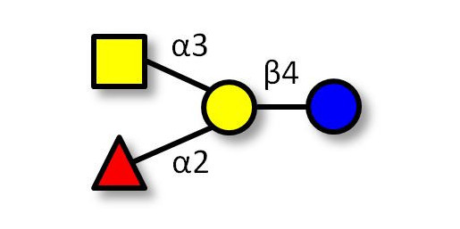 Blood group A antigen tetraose type 6 Analytical grade - Blood Group A tetrasaccharide type V
