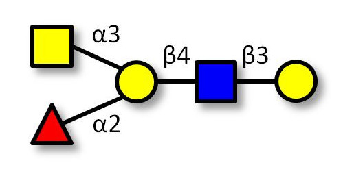 Blood group A antigen pentaose type 2 Analytical grade - A antigen pentaose type 2