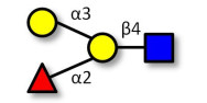 Blood group B antigen...