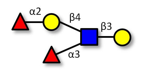 Lewis y (Ley) pentaose Analytical grade - Lewis Y pentasaccharide