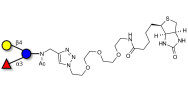 3-Fucosyllactose (3-FL)...