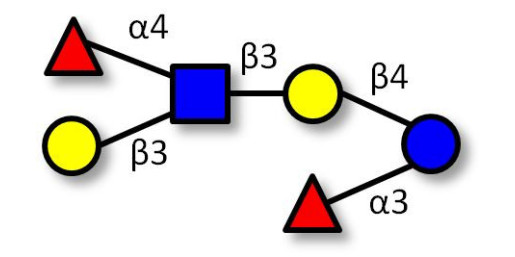 Lewis a (Lea) hexaose / Lacto-N-difucohexaose II (LNDFH II) Analytical grade - Lewis A hexasaccharide