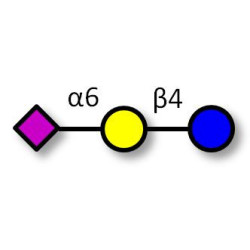 2,6'-Sialyllactose (6'-SL) Analytical grade