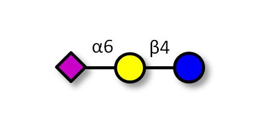 2,6'-Sialyllactose (6'-SL) Analytical grade - 6'-SL ; N-Acetylneuramin-lactose