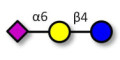 2,6'-Sialyllactose (6'-SL) Analytical grade - 6'-SL ; N-Acetylneuramin-lactose