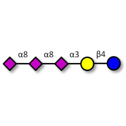 GT3 Ganglioside oligosaccharide Analytical grade