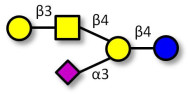 GM1a Ganglioside...