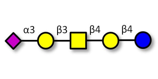 GM1b Ganglioside oligosaccharide Analytical grade