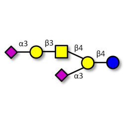 GD1a Ganglioside oligosaccharide Analytical grade